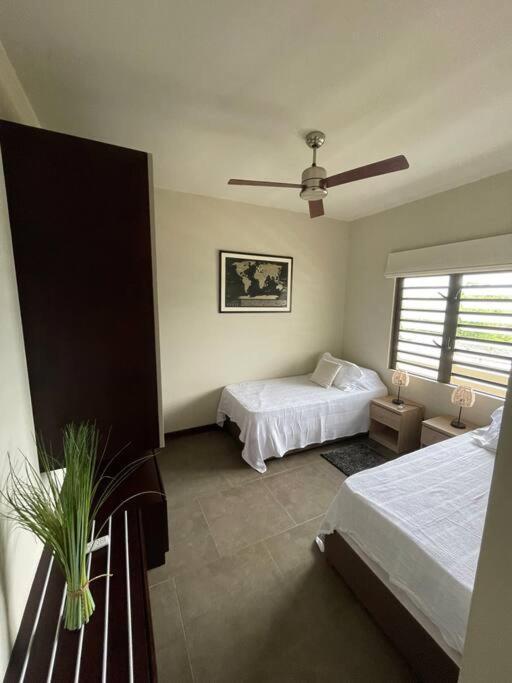 Apartment Les Alizees